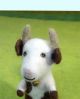 Filz-Finger-Puppe Kuh kaufen München, Filzkuh kaufen Bayern, Kuh aus Filz, Fingerpuppen aus Filz, cow made of felt, Filz-Tier, Filz-arbeit, natürliches Kinder-Spielzeug aus Filz, Filzfingerpuppe Kuh
