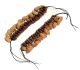 Elastische Rasta Fuß-Schellen (Tobillera) von naturinstrumente.de mit 20 echten Pilinussschalen für den Knöchel beim Tanzen und Trommeln.