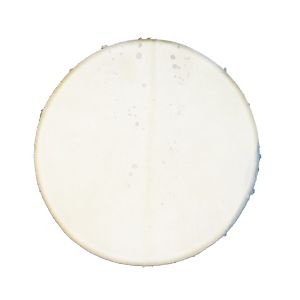 Rahmentrommel weißes Ziegenfell mit Haaren FA2, 35 cm kaufen München, Schamanentrommel kaufen Bayern, Schamanen-Trommel kaufen BRD, buy 13,75